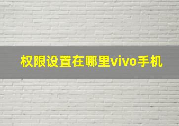 权限设置在哪里vivo手机