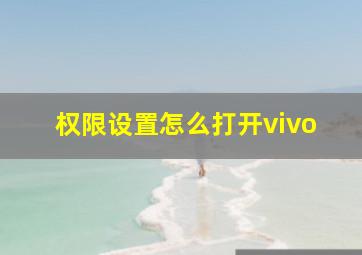 权限设置怎么打开vivo