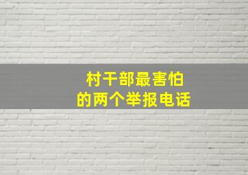 村干部最害怕的两个举报电话