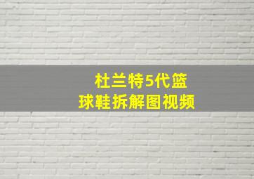 杜兰特5代篮球鞋拆解图视频