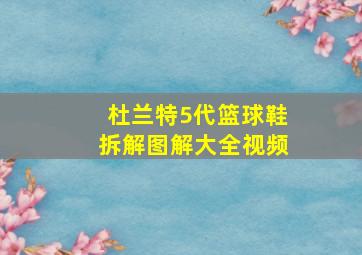 杜兰特5代篮球鞋拆解图解大全视频