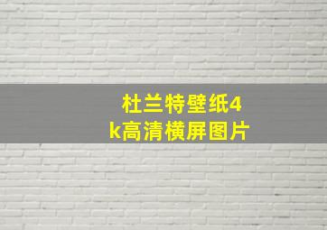 杜兰特壁纸4k高清横屏图片