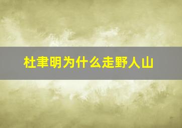 杜聿明为什么走野人山