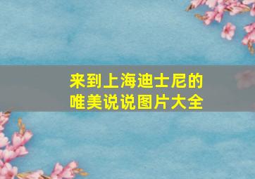 来到上海迪士尼的唯美说说图片大全