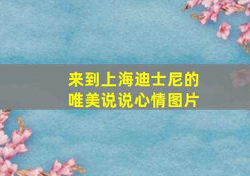 来到上海迪士尼的唯美说说心情图片