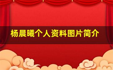 杨晨曦个人资料图片简介