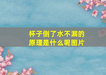 杯子倒了水不漏的原理是什么呢图片