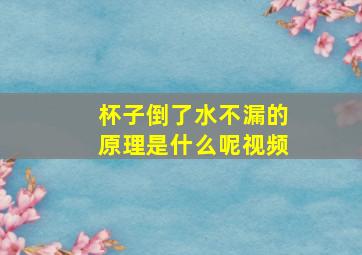 杯子倒了水不漏的原理是什么呢视频