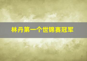 林丹第一个世锦赛冠军