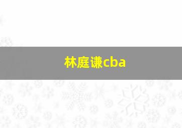 林庭谦cba