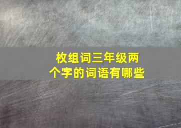 枚组词三年级两个字的词语有哪些