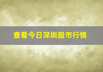 查看今日深圳股市行情