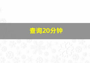 查询20分钟