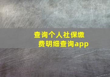 查询个人社保缴费明细查询app