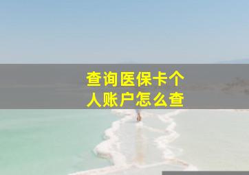 查询医保卡个人账户怎么查