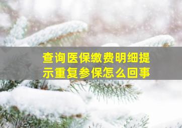 查询医保缴费明细提示重复参保怎么回事