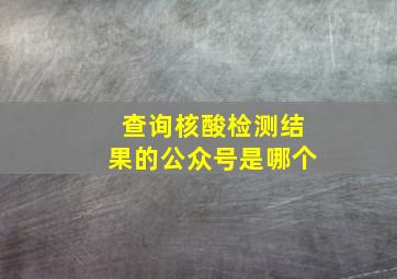 查询核酸检测结果的公众号是哪个