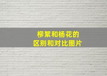 柳絮和杨花的区别和对比图片