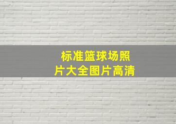 标准篮球场照片大全图片高清