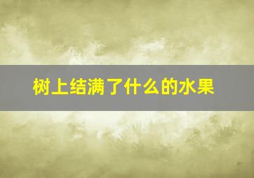 树上结满了什么的水果