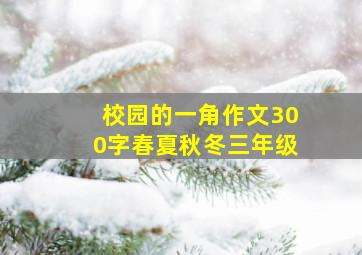 校园的一角作文300字春夏秋冬三年级