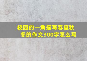 校园的一角描写春夏秋冬的作文300字怎么写