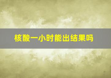 核酸一小时能出结果吗