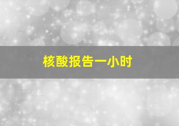 核酸报告一小时