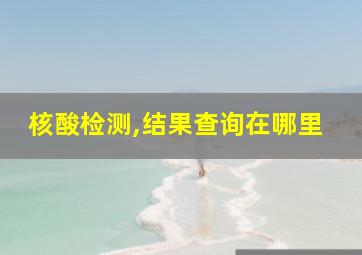 核酸检测,结果查询在哪里