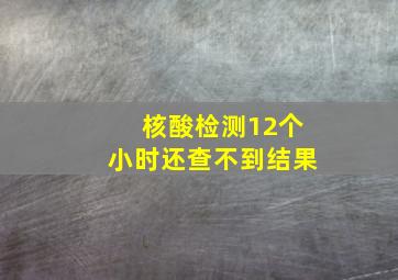 核酸检测12个小时还查不到结果