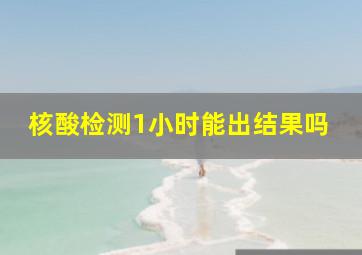 核酸检测1小时能出结果吗