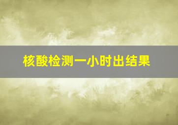 核酸检测一小时出结果