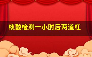 核酸检测一小时后两道杠