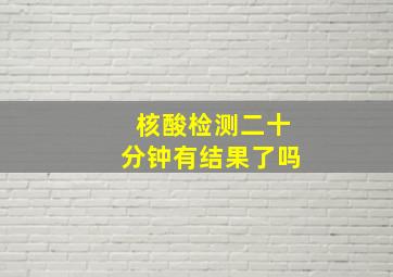 核酸检测二十分钟有结果了吗