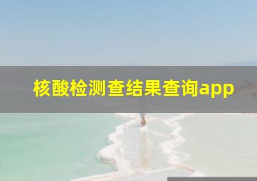 核酸检测查结果查询app