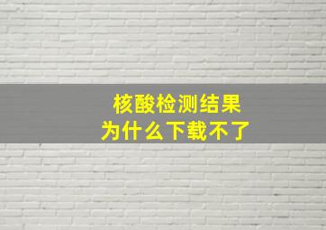 核酸检测结果为什么下载不了