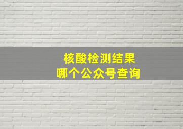 核酸检测结果哪个公众号查询