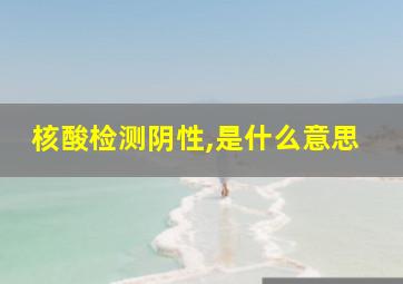 核酸检测阴性,是什么意思