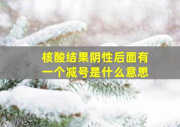 核酸结果阴性后面有一个减号是什么意思