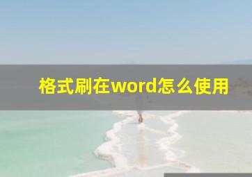 格式刷在word怎么使用