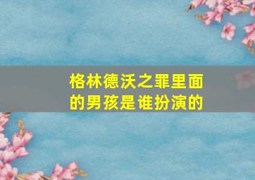 格林德沃之罪里面的男孩是谁扮演的