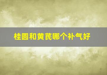 桂圆和黄芪哪个补气好