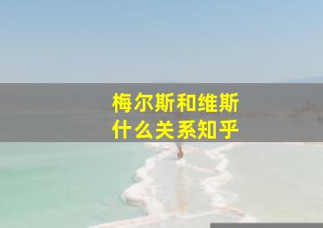 梅尔斯和维斯什么关系知乎