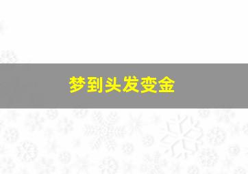 梦到头发变金