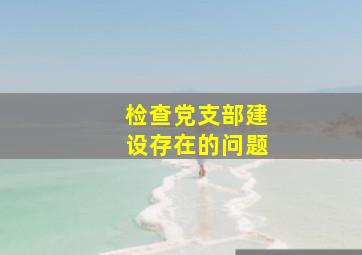 检查党支部建设存在的问题