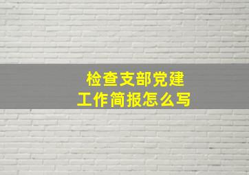 检查支部党建工作简报怎么写