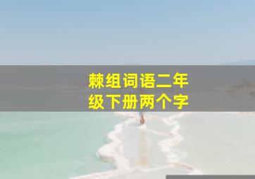 棘组词语二年级下册两个字