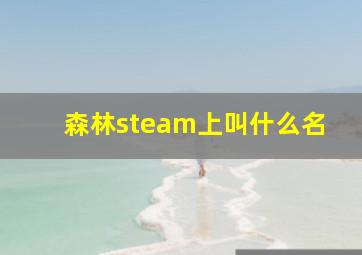 森林steam上叫什么名