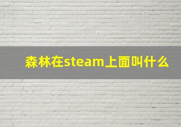 森林在steam上面叫什么