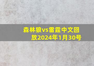 森林狼vs雷霆中文回放2024年1月30号